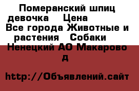 Померанский шпиц девочка  › Цена ­ 50 000 - Все города Животные и растения » Собаки   . Ненецкий АО,Макарово д.